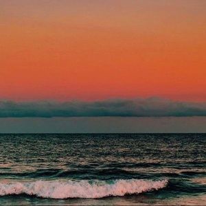 Meet your Posher, Dennis